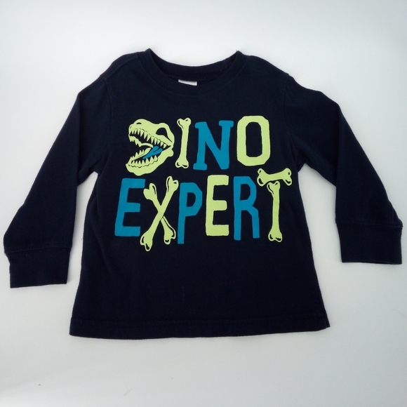 Gymboree Baby Tops Bundle 12-18 Months Cotton Blend Hoodie Long Sleeve Tee - Picture 8 of 11